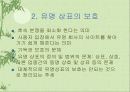 국제 다국어도메인 정책방향 9페이지