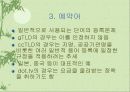 국제 다국어도메인 정책방향 10페이지