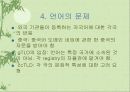국제 다국어도메인 정책방향 11페이지
