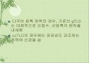 국제 다국어도메인 정책방향 14페이지
