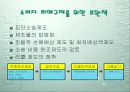 소비자 피해에 대한 대응전략 31페이지