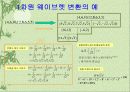 웨이브렛 변환을 이용한  디지털 영상 처리 7페이지