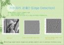 웨이브렛 변환을 이용한  디지털 영상 처리 15페이지
