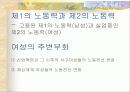 이원체계 이론 (Dual-System Theory) 18페이지