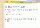 이원체계 이론 (Dual-System Theory) 20페이지