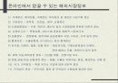 인터넷 해외시장조사 4페이지