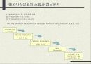 인터넷 해외시장조사 10페이지