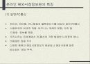 인터넷 해외시장조사 11페이지