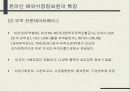 인터넷 해외시장조사 12페이지