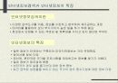 인터넷 해외시장조사 17페이지