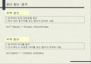인터넷 해외시장조사 30페이지