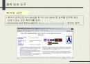 인터넷 해외시장조사 33페이지