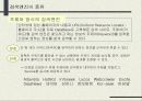 인터넷 해외시장조사 46페이지