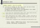 인터넷 해외시장조사 47페이지