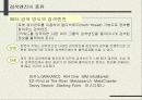 인터넷 해외시장조사 48페이지