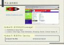 인터넷 해외시장조사 51페이지
