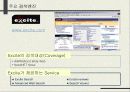 인터넷 해외시장조사 53페이지