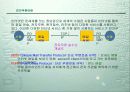 인터넷의 개념과 주소체계 42페이지