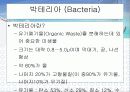 바이오 센서를 이용한 유류저장탱크 누유 방지시스템 10페이지