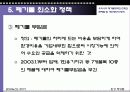 폐기물 정책의 현황과 문제점 및 개선방안 모색 14페이지
