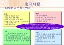 화이트의 마케팅 성공 전략(SWOT,5-force,STP,4P분석) 16페이지
