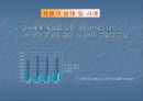 학교 내 체벌에 대한 고찰(A+레포트)★★★★★ 14페이지