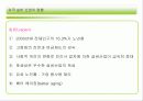 실버산업의 국내 외 현황(A+레포트)★★★★★ 10페이지