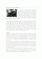 현대사회의 공격성에 대한 심리이론 및 사례 연구(사례 및 분석 중심) 5페이지