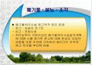 환경과 행정판례(A+레포트) 8페이지
