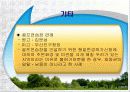 환경과 행정판례(A+레포트) 10페이지