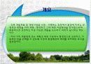 환경과 행정판례(A+레포트) 13페이지