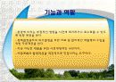 환경과 행정판례(A+레포트) 14페이지