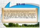 환경과 행정판례(A+레포트) 15페이지