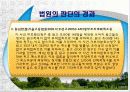 환경과 행정판례(A+레포트) 21페이지