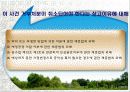 환경과 행정판례(A+레포트) 25페이지