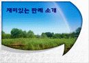 환경과 행정판례(A+레포트) 26페이지