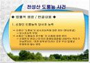 환경과 행정판례(A+레포트) 31페이지