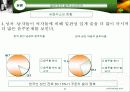주류시장의 저도주 바람(A+레포트) 11페이지