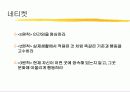 정보화 역기능과 대안에 대하여 30페이지