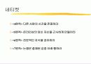 정보화 역기능과 대안에 대하여 31페이지