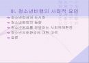 청소년범죄와 사회유해환경 30페이지