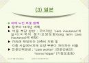 치매노인 장기요양보호 문제와 그 대안-외국사례포함-사회문제론(A+레포트) 14페이지