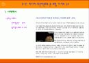 인터넷 포털 사이트 뉴스의 이론적 고찰(A+레포트) 11페이지