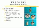 휴즈(fuse)에 대하여.. 9페이지