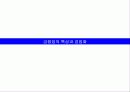 바람직한 금융겸업화 추진방향 45페이지