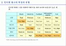 인터넷 광고의 현황과 전망 13페이지