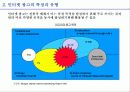 인터넷 광고의 현황과 전망 14페이지