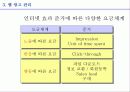 인터넷 광고의 현황과 전망 28페이지