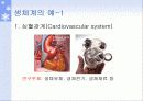 생체역학의 개요 4페이지