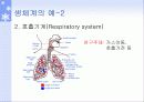 생체역학의 개요 5페이지